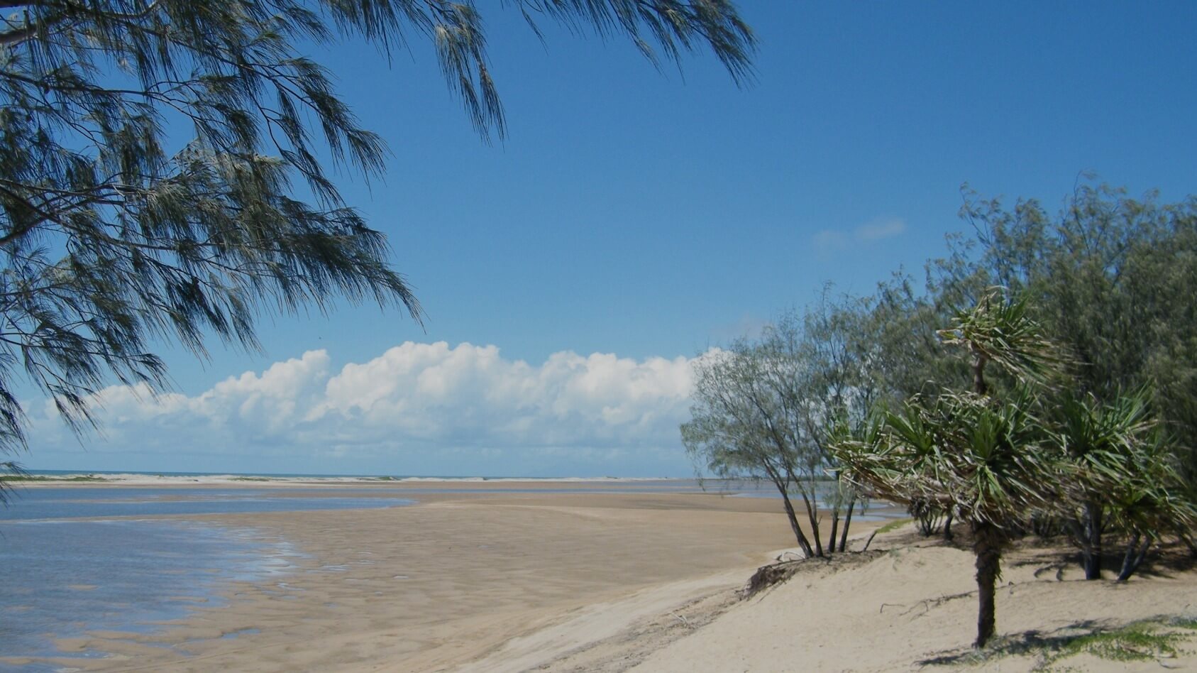 home Alva Beach Tourist Park